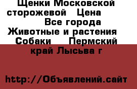 Щенки Московской сторожевой › Цена ­ 35 000 - Все города Животные и растения » Собаки   . Пермский край,Лысьва г.